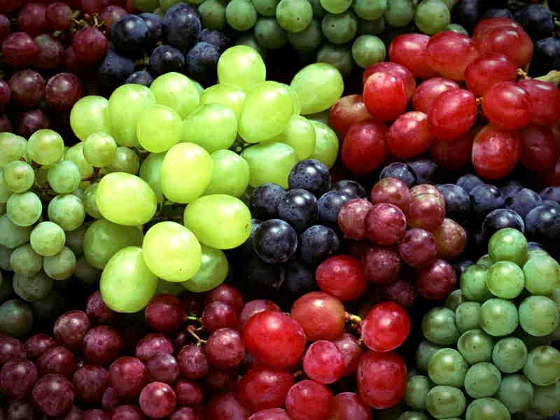 مقدار مجاز مصرف انگور در طول رژیم لاغری انگور به چه صورت است؟