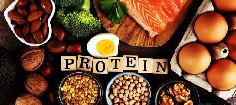 مواد غذایی پروتئین دار برای لاغری و کاهش وزن