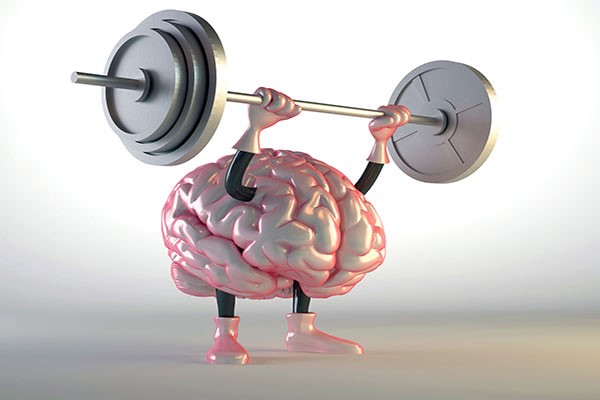 پودر جینسینگ فعالیت مغز را بهبود می بخشد